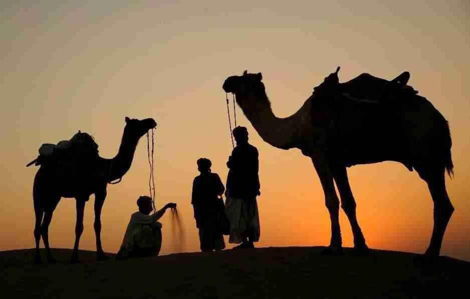 The Mama'S Resort & Camp Jaisalmer Dış mekan fotoğraf